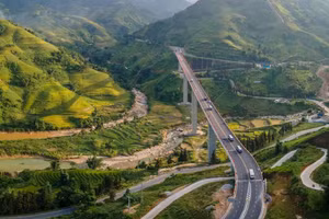 (Ảnh minh họa)