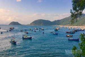 Bình minh tại vùng biển Vũng Rô.