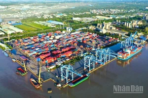 Để logistics Việt Nam trở thành mắt xích chiến lược của chuỗi cung ứng toàn cầu