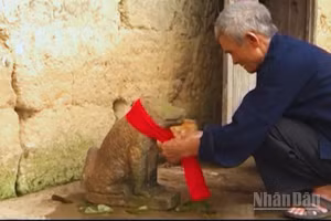 Đến Tết, chó đá Ma-hin không chỉ được tắm mà còn được choàng một chiếc khăn đỏ.