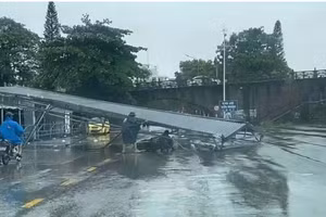 Bão số 1 gây gãy đổ hàng trăm cây xanh, hư hại một số công trình giao thông tại Quảng Ninh. Ngành đường bộ đang huy động tối đa lực lượng, phương tiện, khẩn trương giải tỏa hiện trường, bảo đảm giao thông thông suốt và an toàn. (Ảnh: TTXVN)