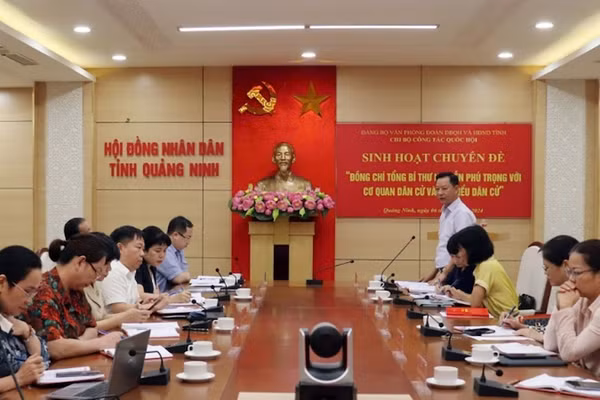 Quang cảnh buổi sinh hoạt chuyên đề.