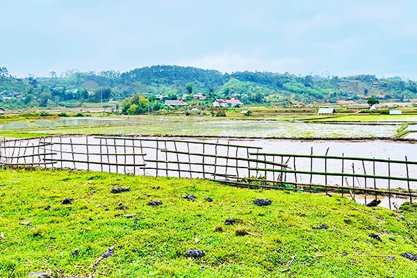 Dung dị với Kon Vơng Kia