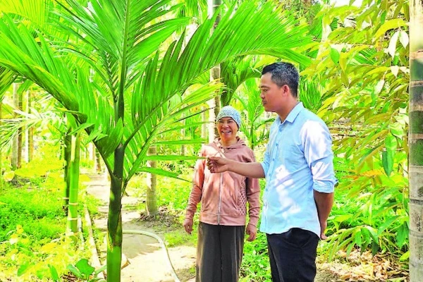 Chị Thủy bên vườn cau của gia đình.