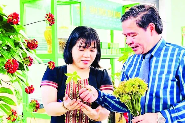 Lãnh đạo huyện Nam Trà My (Quảng Nam) giới thiệu cây sâm Ngọc Linh với người dân. 