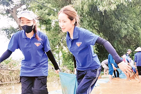 Thanh niên xã Cấn Hữu (huyện Quốc Oai) gia cố đê phòng chống ngập lụt. 