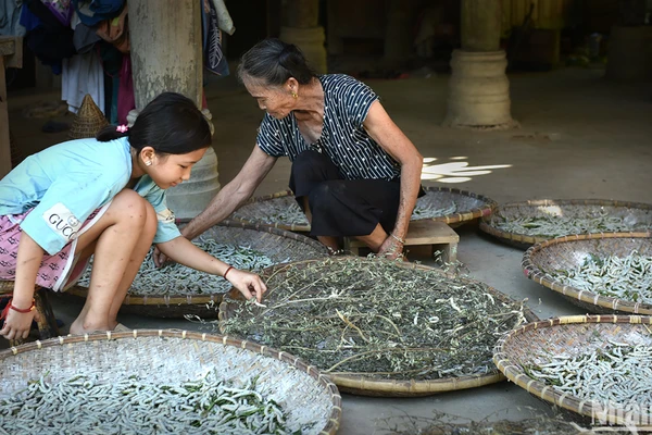 Nghề nuôi tằm ở bản Hoa Tiến, xã Châu Tiến, huyện Quỳ Châu, tỉnh Nghệ An. (Ảnh: VŨ LINH)