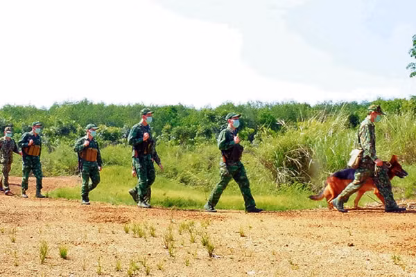 Cán bộ, chiến sĩ Đồn Biên phòng Cửa khẩu Hoàng Diệu (huyện Bù Đốp) phối hợp với Đoàn Thanh niên tuần tra bảo vệ biên giới.