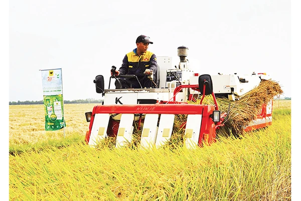 Máy cơ giới trình diễn thu hoạch lúa chất lượng cao, phát thải thấp.