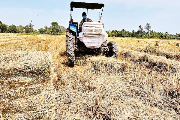 Nông dân có thêm thu nhập từ bán rơm cuộn.