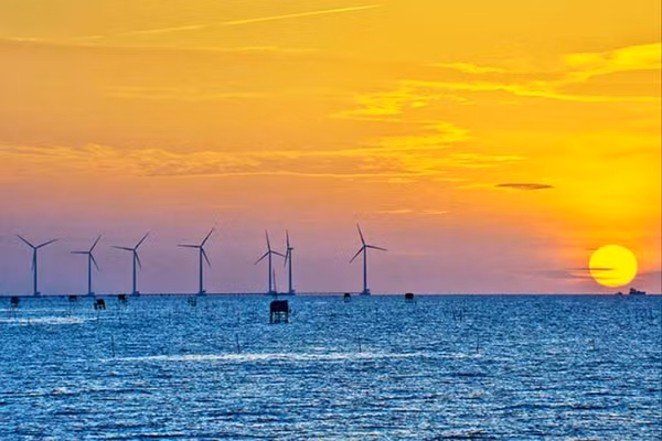 Điện gió ở Bạc Liêu. (Ảnh LÊ NGUYỄN)