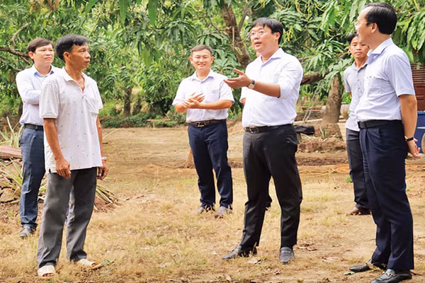 Bí thư Tỉnh ủy Đồng Tháp Lê Quốc Phong tham quan mô hình Cây xoài nhà tôi tại phường 6, thành phố Cao Lãnh, tỉnh Đồng Tháp