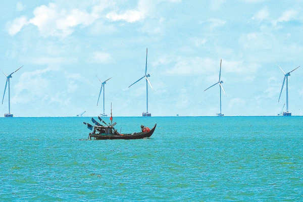 Cà Mau có nhiều tiềm năng, lợi thế phát triển kinh tế với tầm nhìn dài hơi về phía biển.