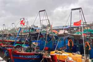 Các phương tiện đã được Bộ đội Biên phòng thành phố Hải Phòng kêu gọi tránh, trú an toàn tại các bến.