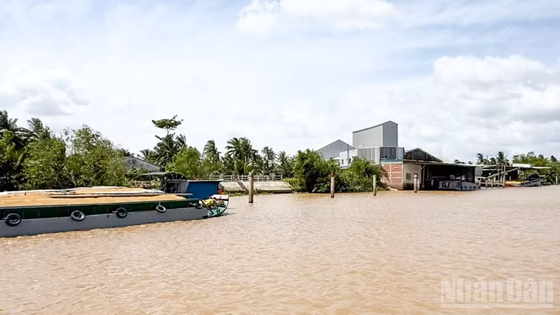 ndo_br_anh-7-nh-may-gay-o-nhiem-khien-nguoi-dan-khon-kho.jpg