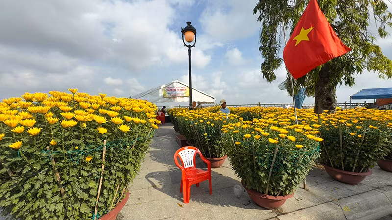 anh-7-hoa-cuc.jpg
