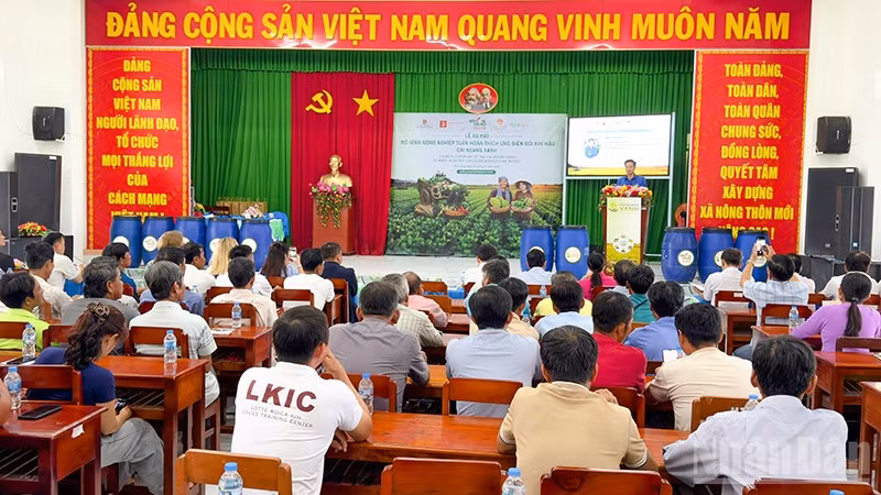 ndo_br_anh-3-cai-ngang-xanh.jpg