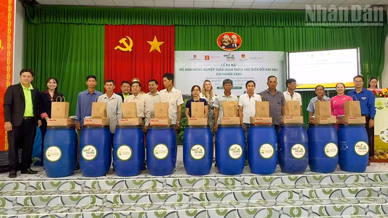 ndo_tr_anh-2-cai-ngang-xanh.jpg