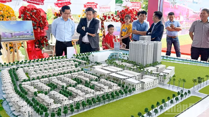 ndo_br_anh-2-mo-hinh-du-an.jpg