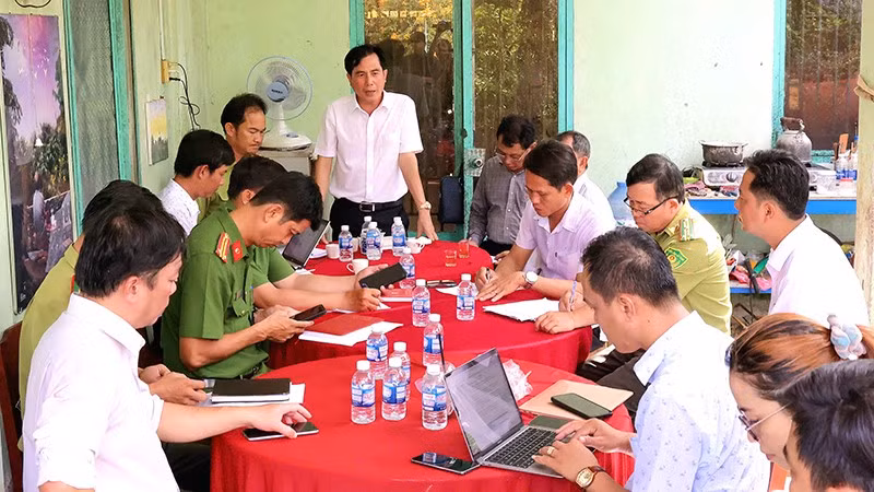 anh-8-chim-vac.jpg