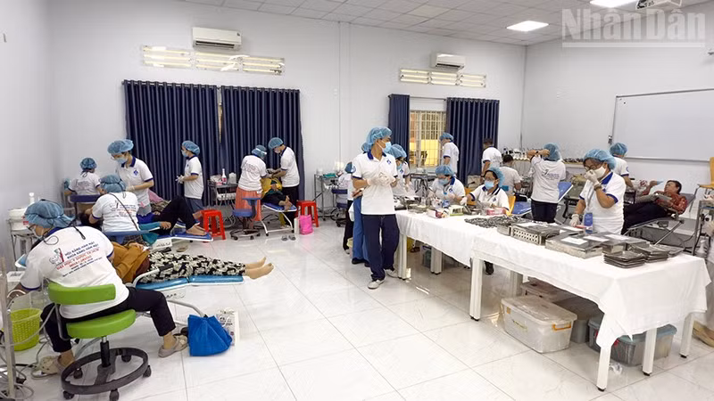Các bác sĩ khám bệnh cho người dân.