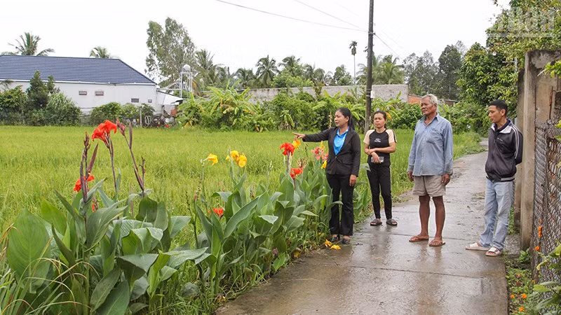 Đường giao thông nông thôn ở Vĩnh Long ngày càng khởi sắc. 