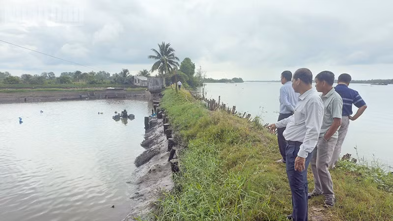 ndo_tl_anh-3-khao-sat.jpg
