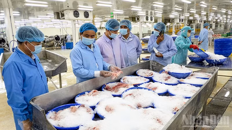 ndo_br_anh-3-iuu.jpg