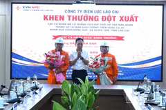 Lãnh đạo Công ty Điện lực Lào Cai trao quyết định khen thưởng đột xuất và biểu dương hai nhân viên có hành động đẹp giúp đỡ người gặp nạn. (Ảnh: Công ty Điện lực Lào Cai cung cấp)
