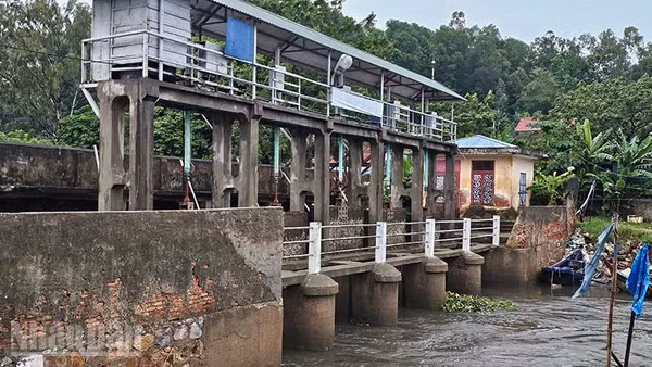 Cống tiêu sông Đơ thoát nước ra biển ở phường Nam Sầm Sơn. (Ảnh: Mai Luận)