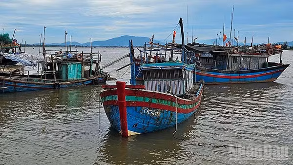 Phương tiện nghề cá cập bến ở xã Tiên Trang. (Ảnh: Mai Luận)