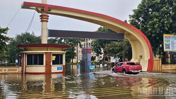 Trường đại học Hồng Đức bị ngập nước trong đợt mưa dài ngày vừa qua. (Ảnh: Mai Luận)