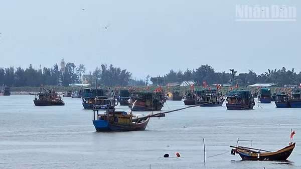 Tàu thuyền di chuyển về cảng cá chỉ định bên lạch Ghép. (Ảnh: Mai Luận)