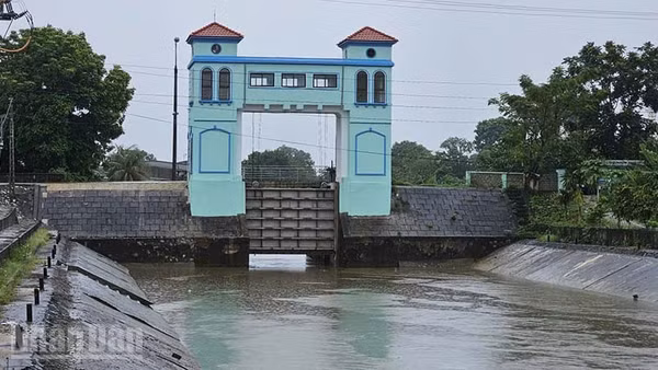 Công ty trách nhiệm một thành viên Sông Chu hiện đang tiêu, thoát nước ra sông Mã qua âu Bến Ngự.