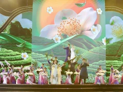 Trình diễn nghệ thuật tại lễ khai mạc. (Ảnh: TUẤN SƠN).