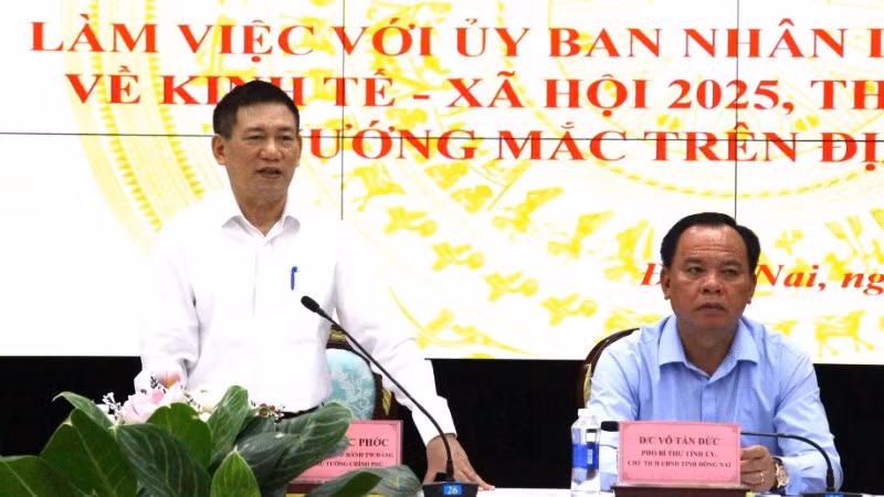 Phó Thủ tướng Chính phủ Hồ Đức Phớc phát biểu tại buổi làm việc.