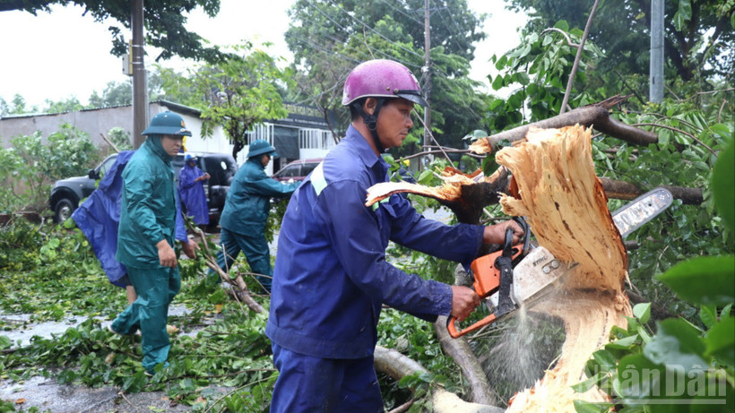 Lực lượng chức năng tỉnh Đồng Nai tập trung khắc phục hậu quả do trận mưa lớn kèm gió giật mạnh gây ra.