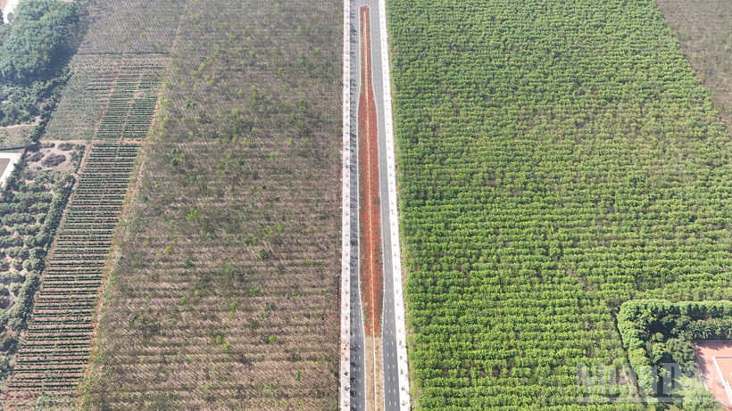 Đường Vành đai 1 Long Khánh được thông xe kỹ thuật sau hơn 1 năm thi công.