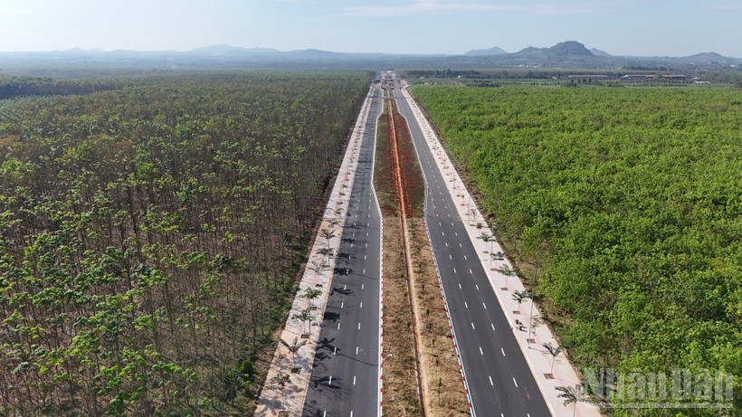 Đường Vành đai 1 Long Khánh xuyên qua rừng cao-su.