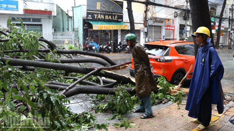 Một trận mưa lớn kèm giông lốc gây thiệt hại tại phường Trấn Biên vào tháng 7/2025.