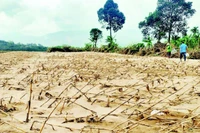 Người dân trồng trọt ở dọc sông Vu Gia bị thiệt hại nặng sau đợt mưa lũ lớn do cơn bão số 12.