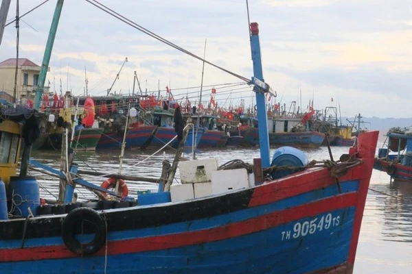 Ảnh minh họa: Cảng cá Ngọc Hải (Đồ Sơn, Hải Phòng).