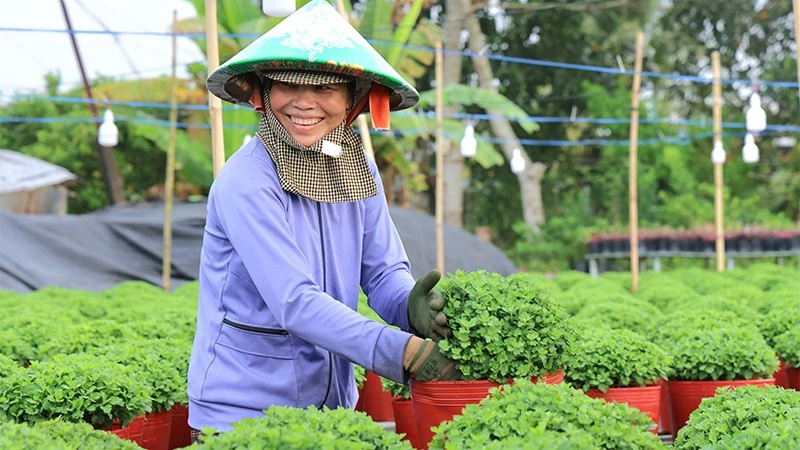 Nông dân Sa Đéc chăm sóc hoa. (Ảnh: Ban tổ chức)