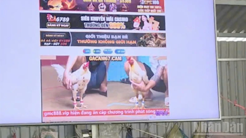 Tang vật dùng để phát trực tuyến các trận đá gà.