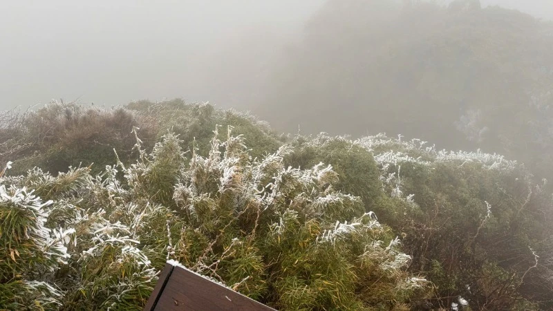 Băng giá xuất hiện phủ trắng đỉnh Fansipan.