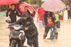 Cảnh ngập lụt sau những trận mưa lớn tại Narathiwat (Thái Lan). (Ảnh: THX/TTXVN)