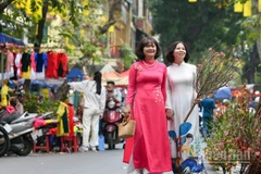 Lượng tìm kiếm đối với các điểm đến trong nước cho kỳ nghỉ Tết Nguyên đán 2026 tăng mạnh. (Ảnh: THÀNH ĐẠT)