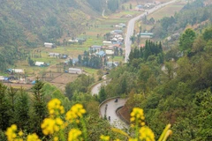 Vẻ đẹp thơ mộng của Cao nguyên đá Đồng Văn - nơi được vinh danh là điểm đến văn hóa cấp địa phương hàng đầu thế giới 2025. (Ảnh: TTXVN)