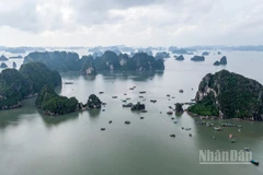 Vịnh Hạ Long là một trong những điểm đến được du khách Australia lựa chọn khi đến Việt Nam. (Ảnh: THÀNH ĐẠT)