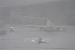 Tuyết rơi dày tại New York, Mỹ. (Ảnh: THX/TTXVN)